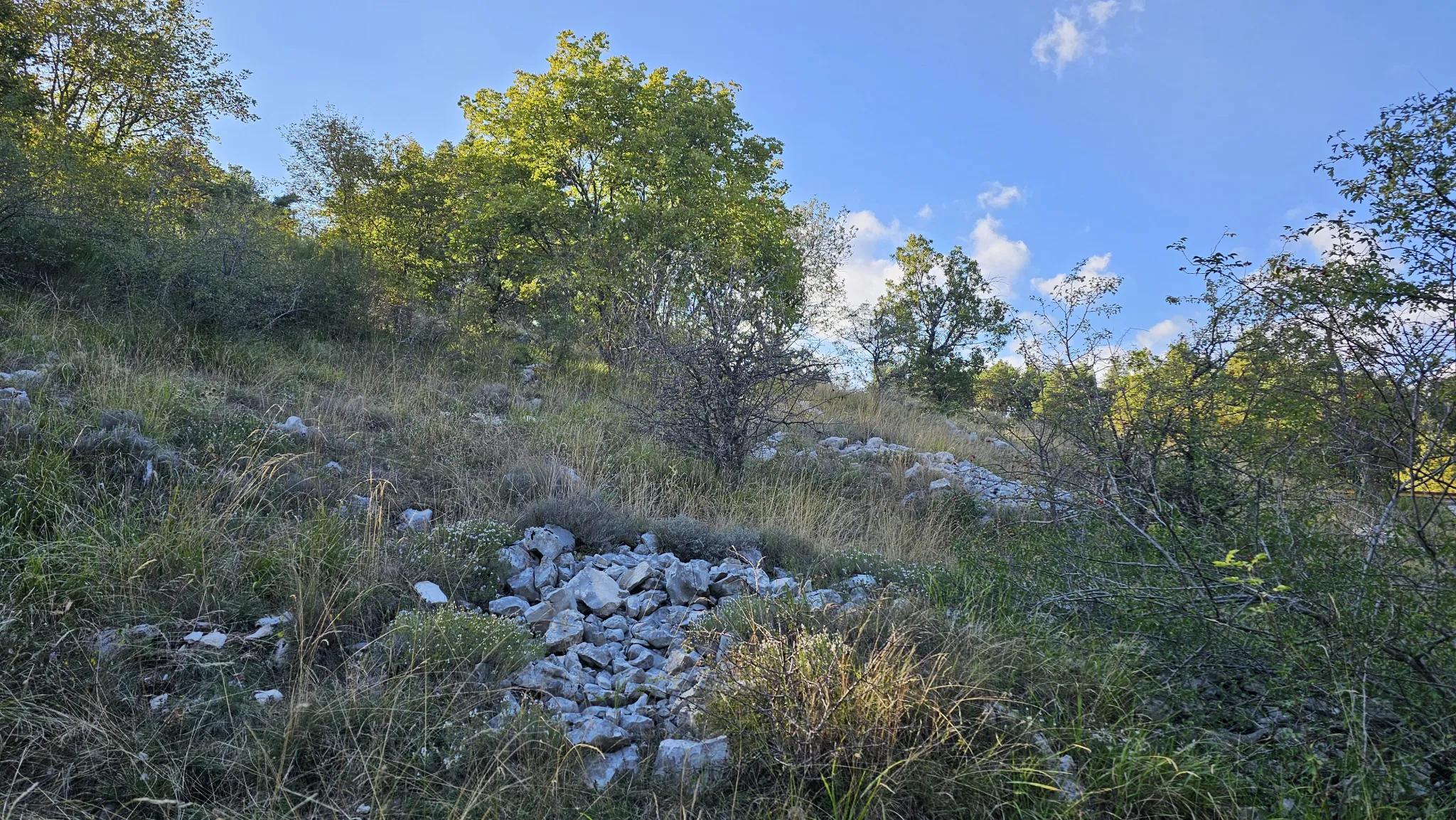 Terrain constructible 2000 m² à Caussols avec vue et permis prêt 