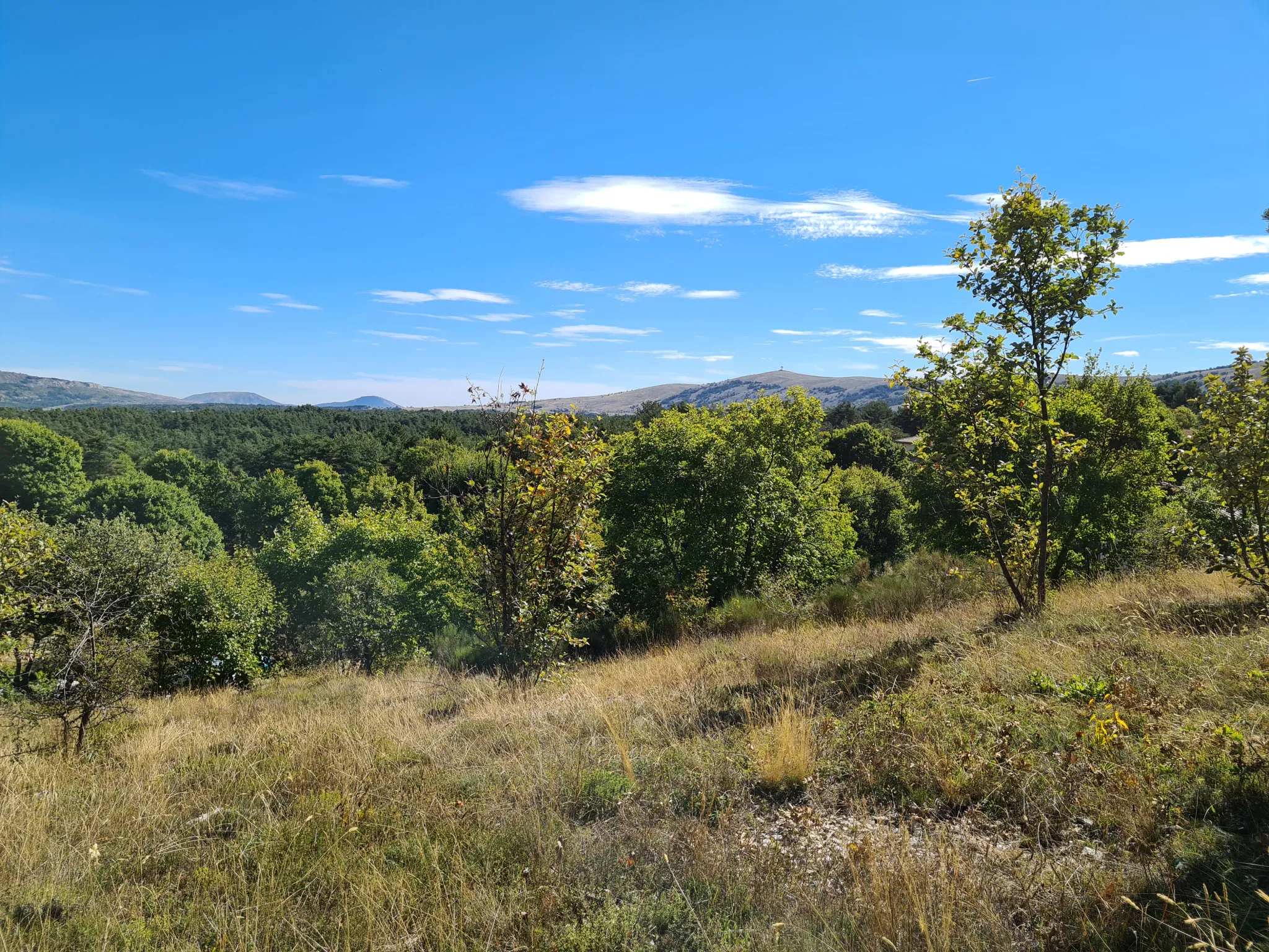 Terrain constructible 2000 m² à Caussols avec vue et permis prêt 