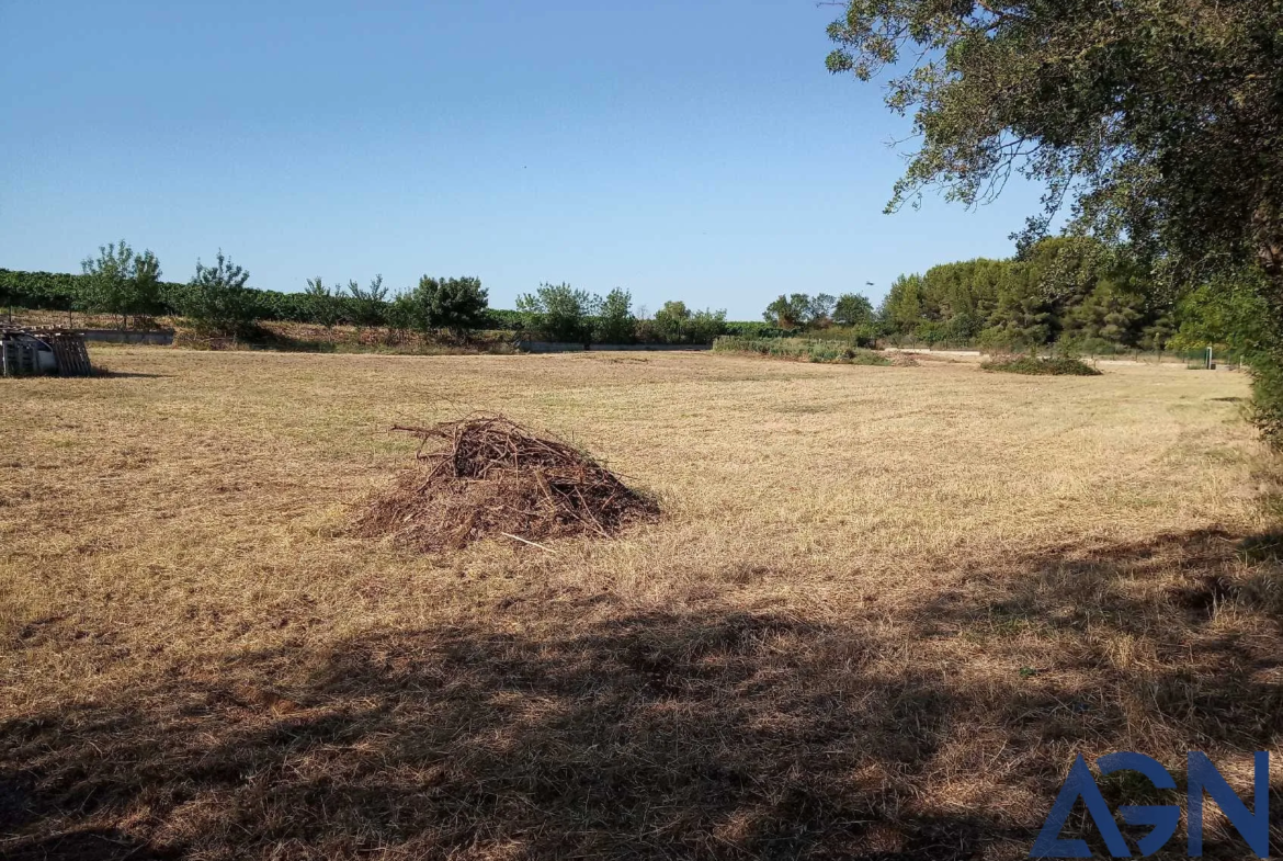 À vendre : grand terrain agricole de 6209m² à Bessan, borné et clôturé 