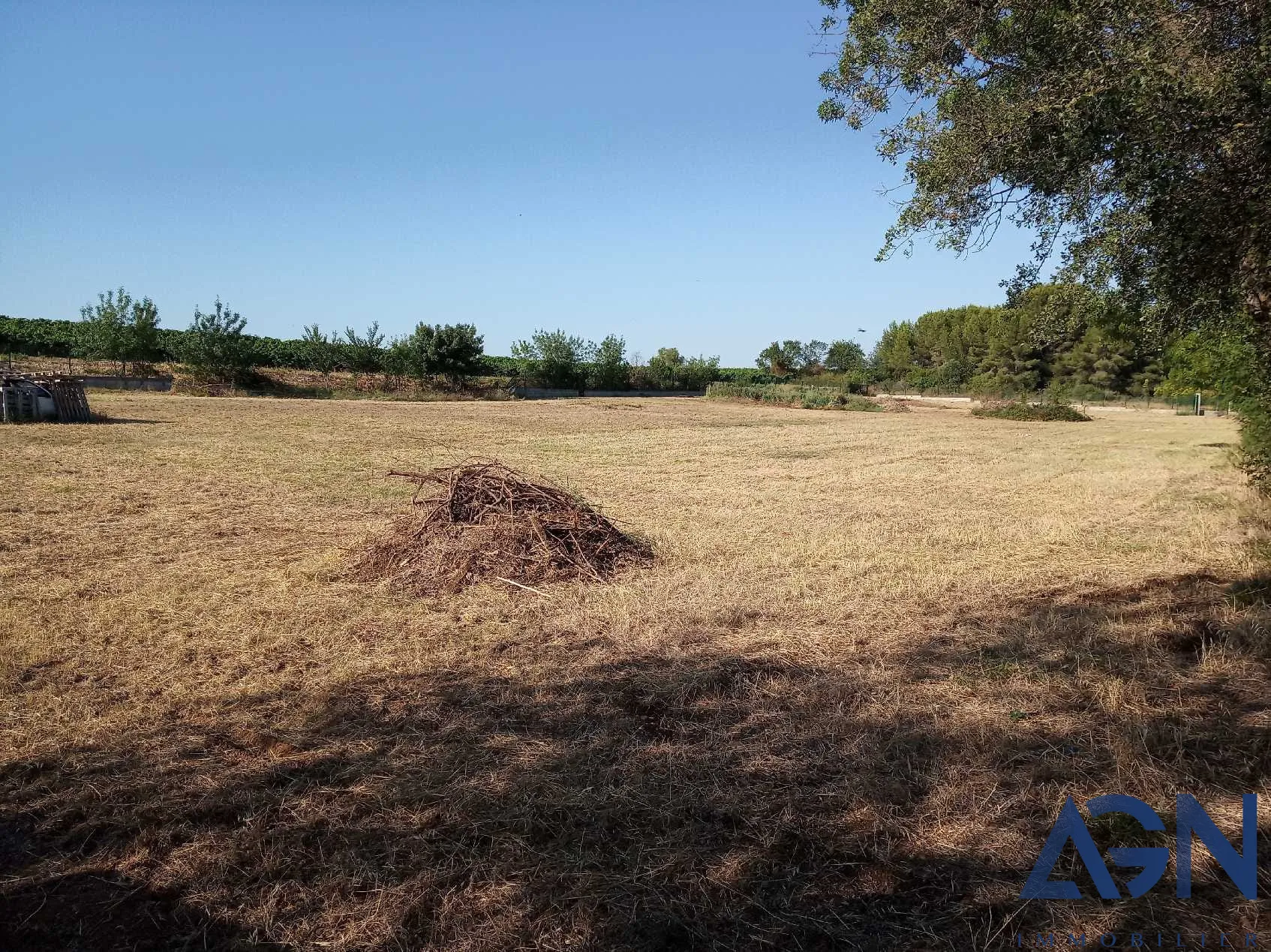 À vendre : grand terrain agricole de 6209m² à Bessan, borné et clôturé 