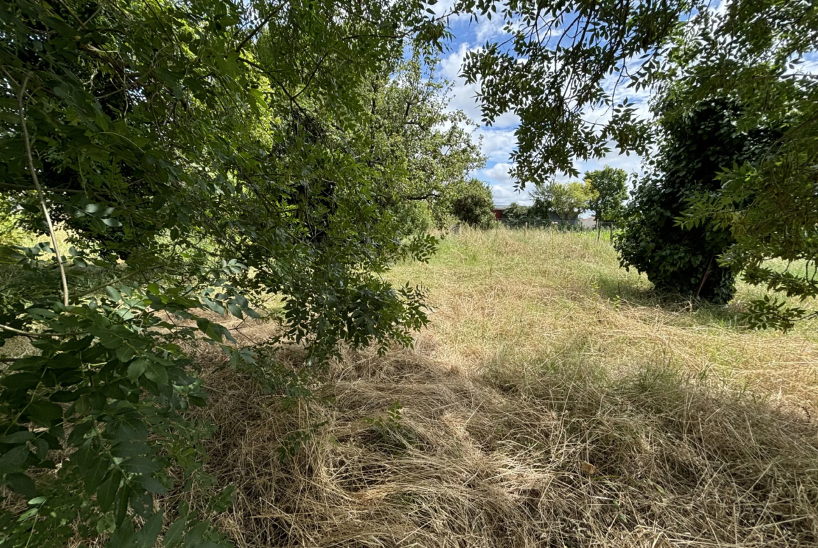 Terrain constructible viabilisé à Grézac, proche Cozes 