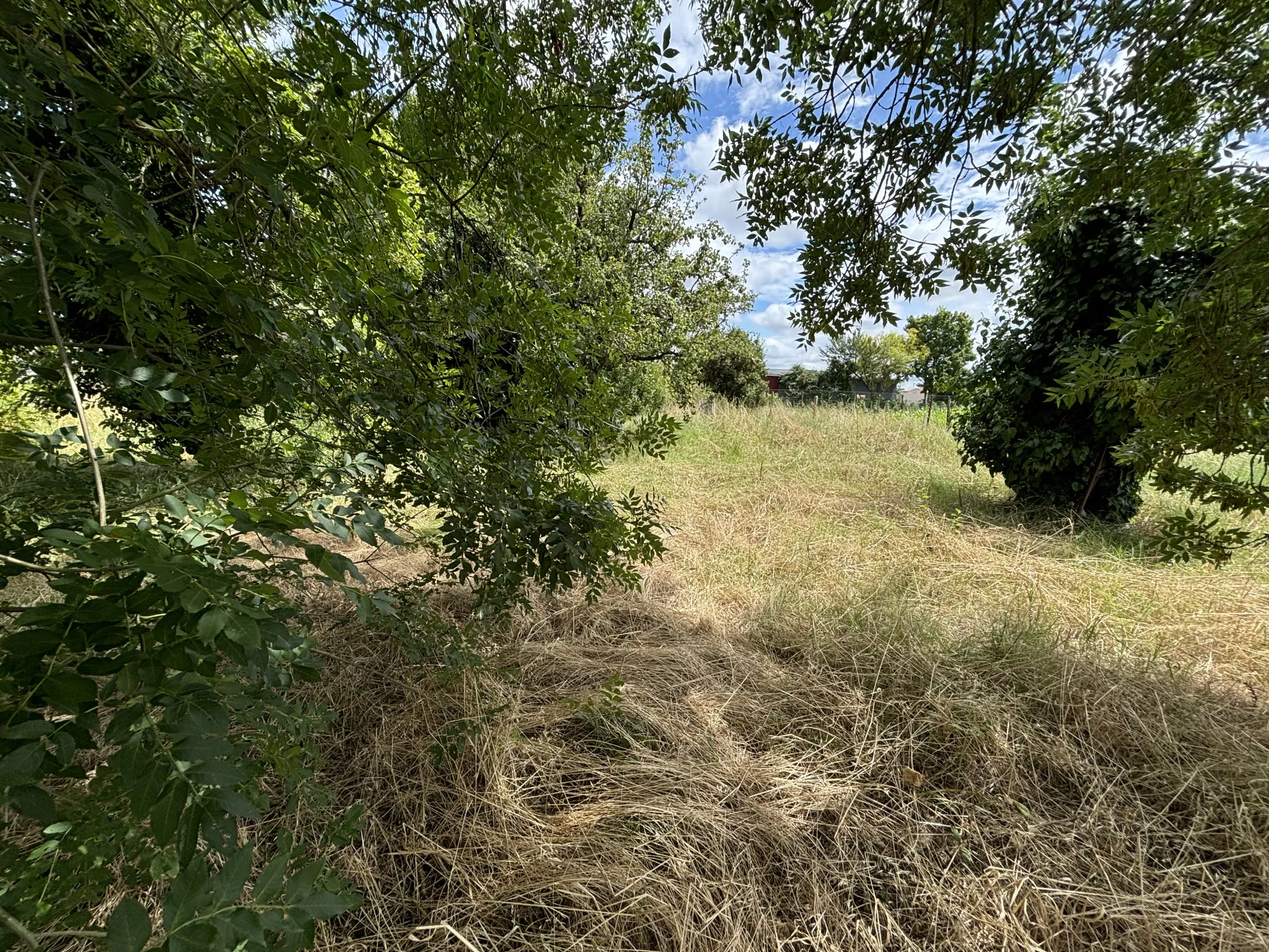 Terrain constructible viabilisé à Grézac, proche Cozes 