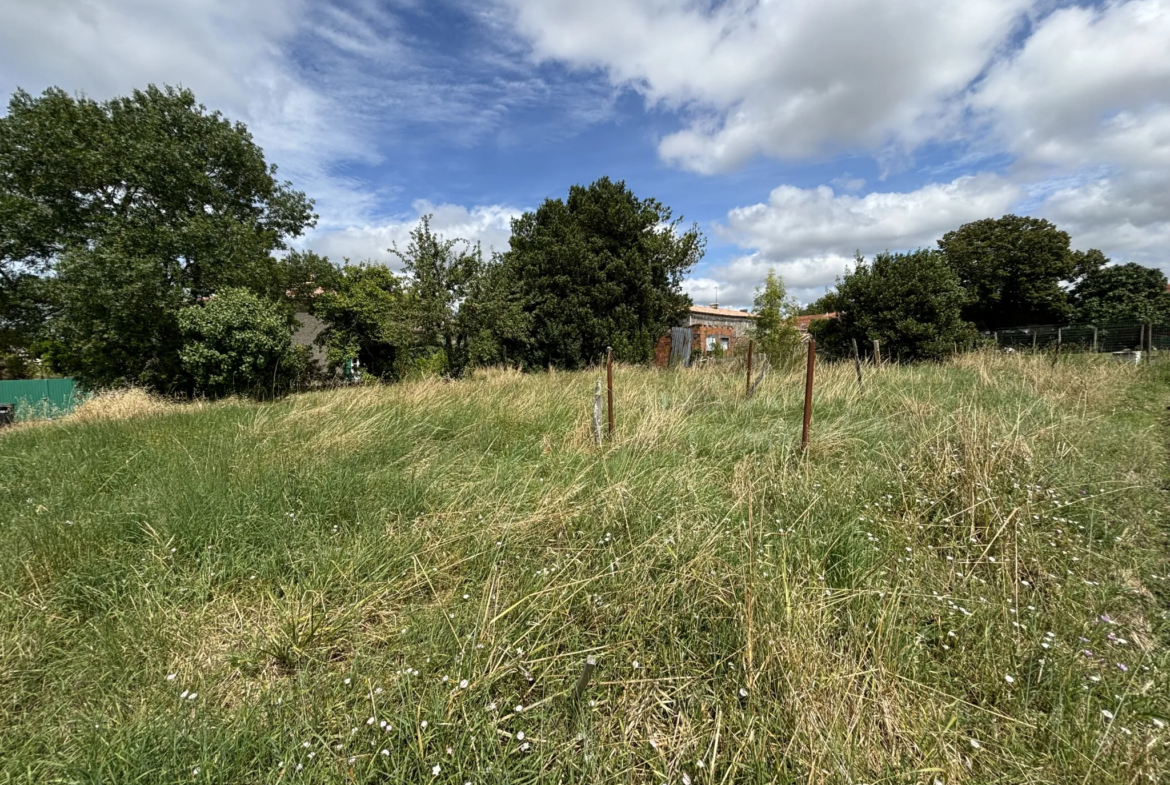 Terrain constructible viabilisé à Grézac, proche Cozes 