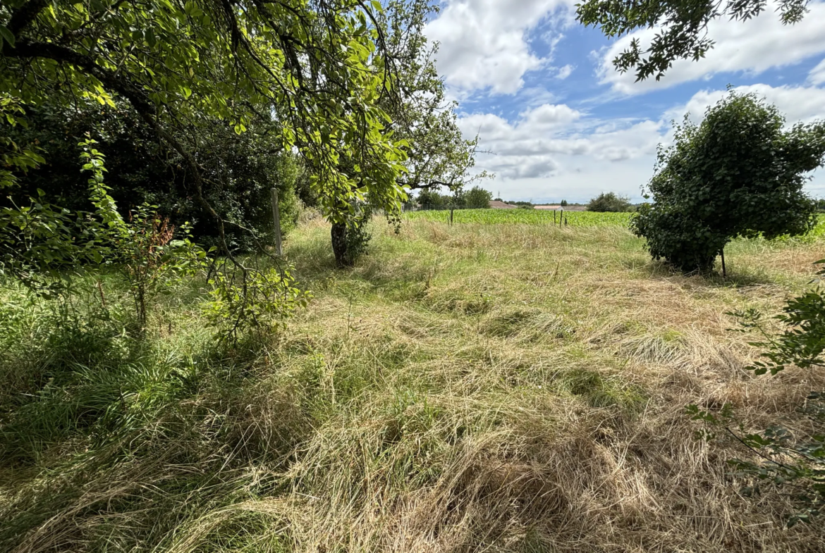 Terrain constructible viabilisé à Grézac, proche Cozes 