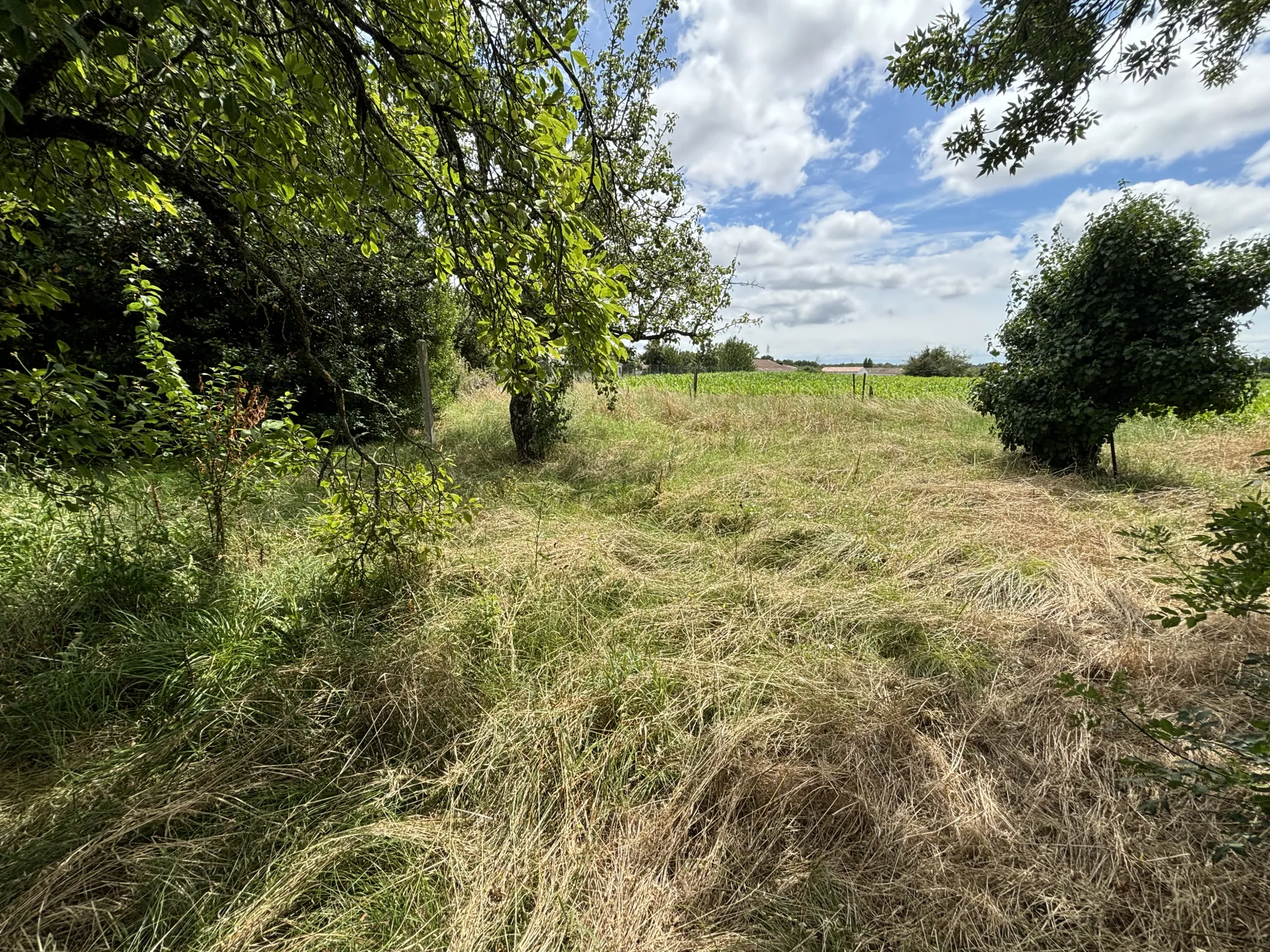 Terrain constructible viabilisé à Grézac, proche Cozes 