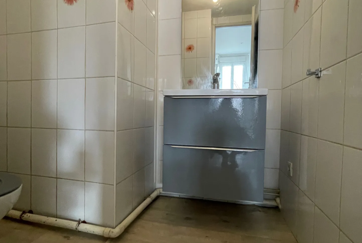 À vendre : Appartement F3 avec 2 caves à Saint-Étienne 