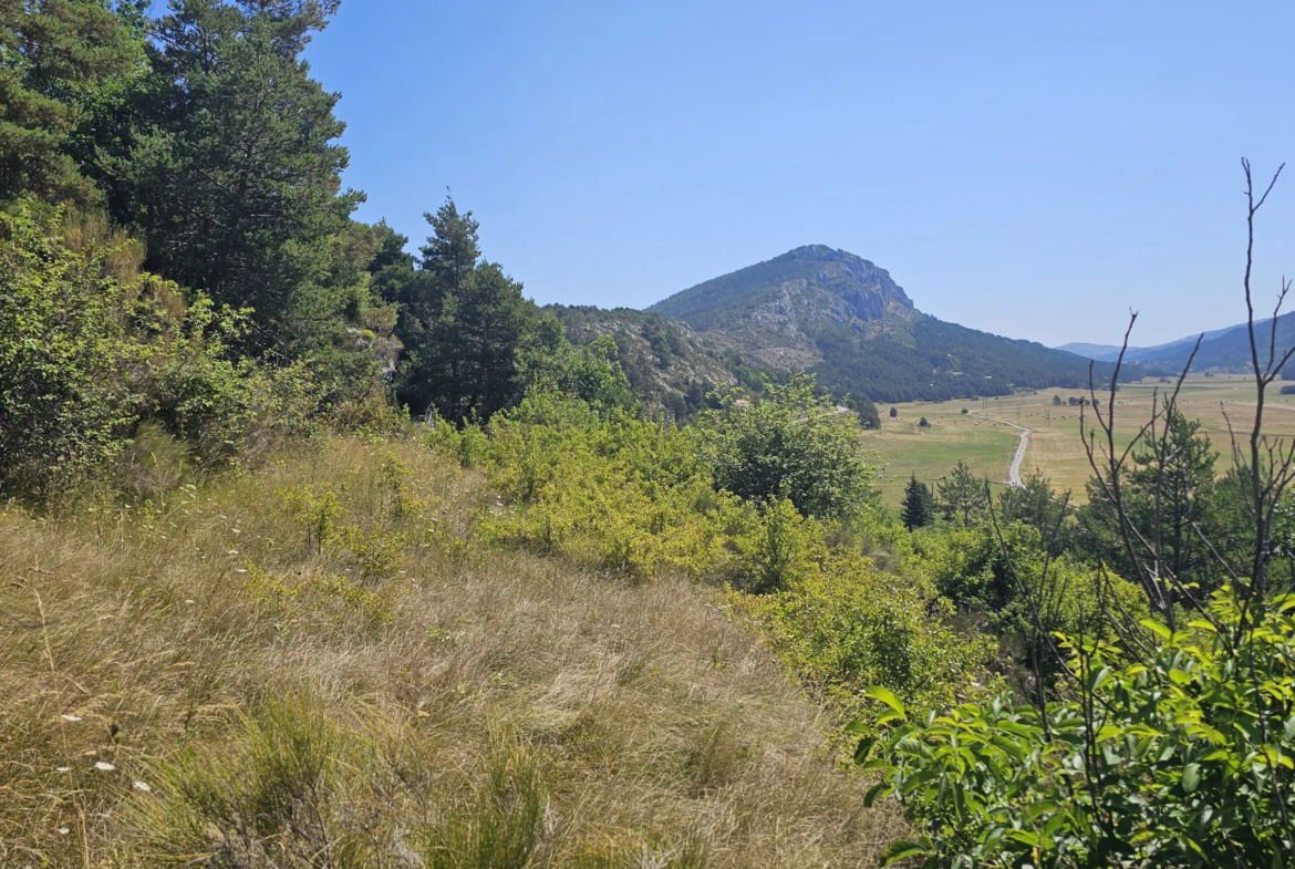 Terrain constructible avec vue panoramique sur la plaine de Caille 