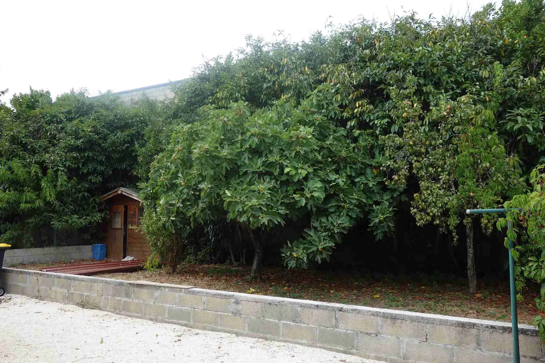 Maison en pierre rénovée avec jardin à Saint Ciers sur Gironde 