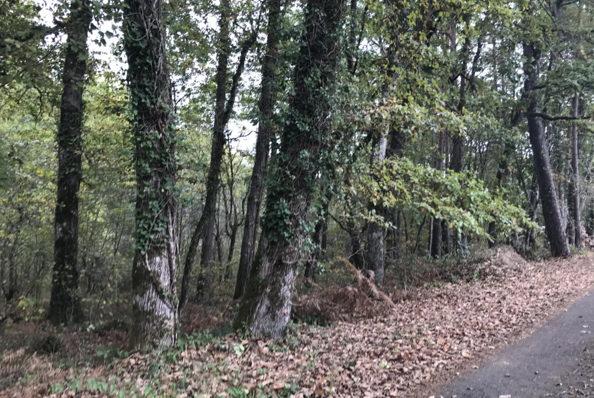 Terrain à vendre à Chancelade - Plus de 3000 m² 