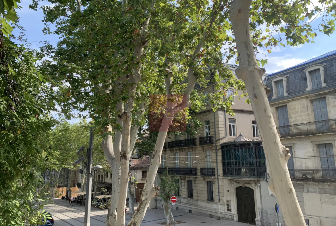 À vendre : Appartement 2 pièces Montpellier ECUSSON PEYROU avec vue 