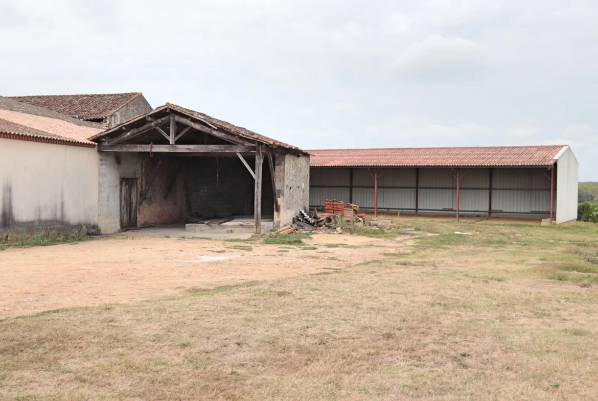 Vente d'Ancienne Ferme Viticole à Caplong, 33220 