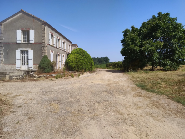 Ancienne Ferme Viticole à Caplong - Idéale pour projets touristiques