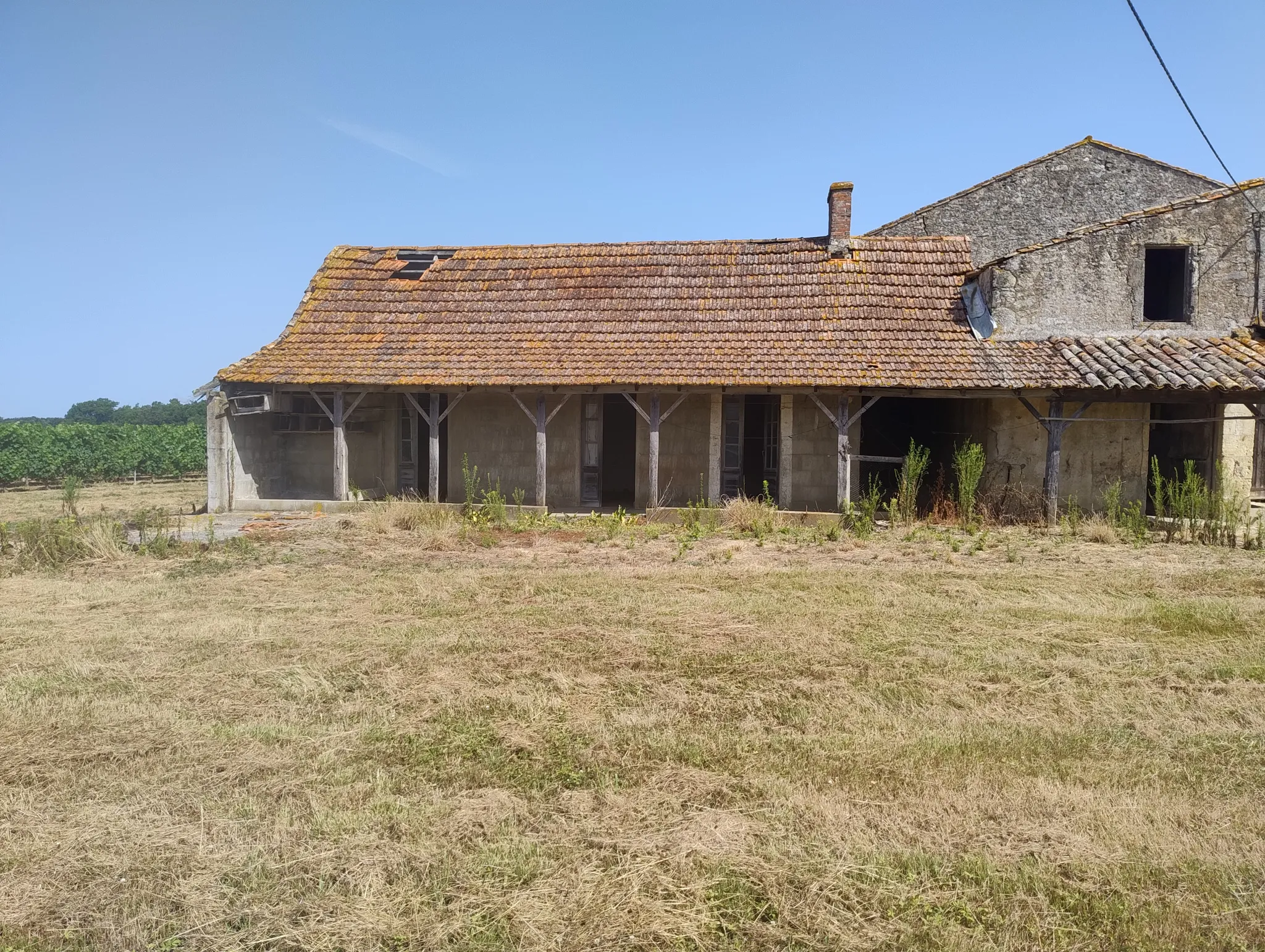 Ancienne Ferme Viticole à Caplong - Idéale pour projets touristiques 