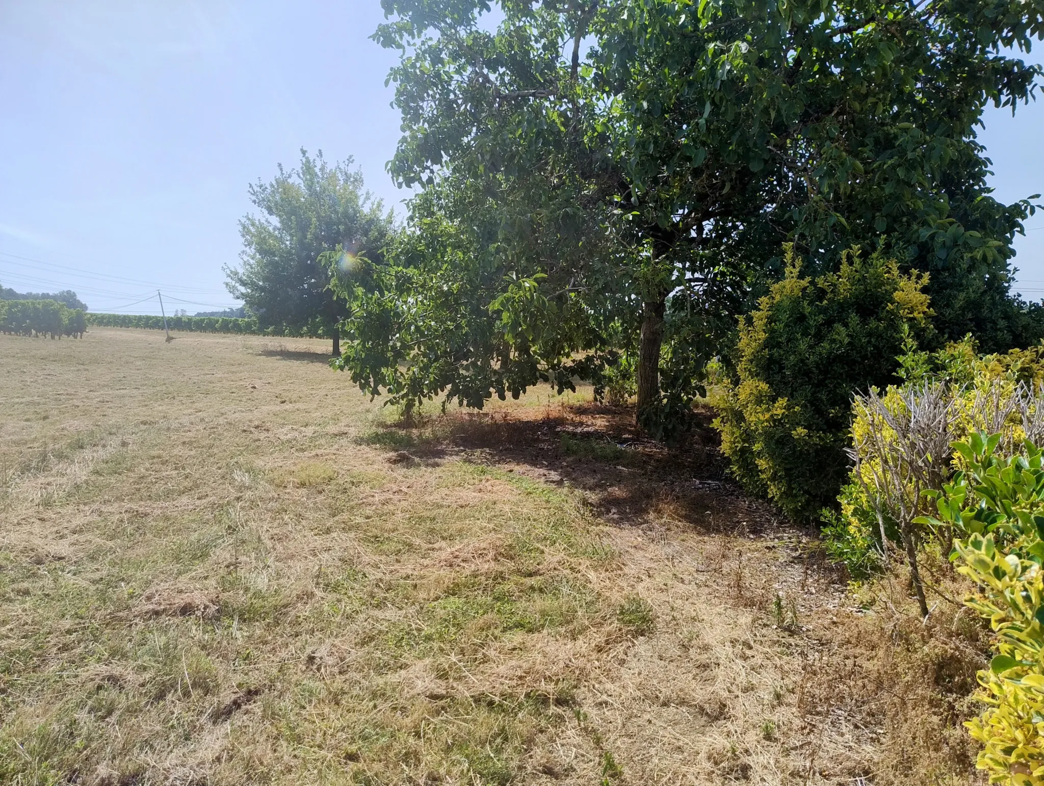 Vente d'Ancienne Ferme Viticole à Caplong, 33220 