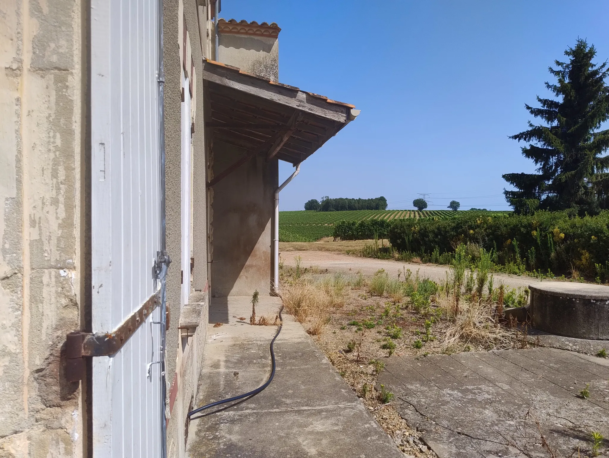 Ancienne Ferme Viticole à Caplong - Idéale pour projets touristiques 