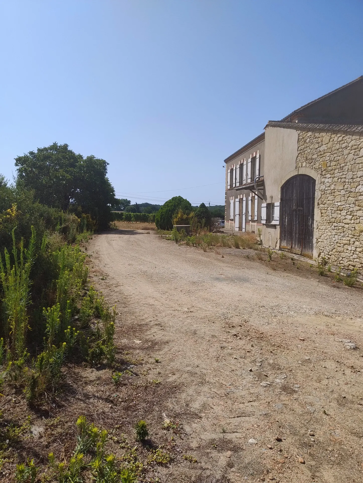 Ancienne Ferme Viticole à Caplong - Idéale pour projets touristiques 