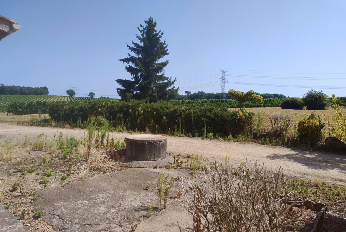 Ancienne Ferme Viticole à Caplong - Idéale pour projets touristiques 