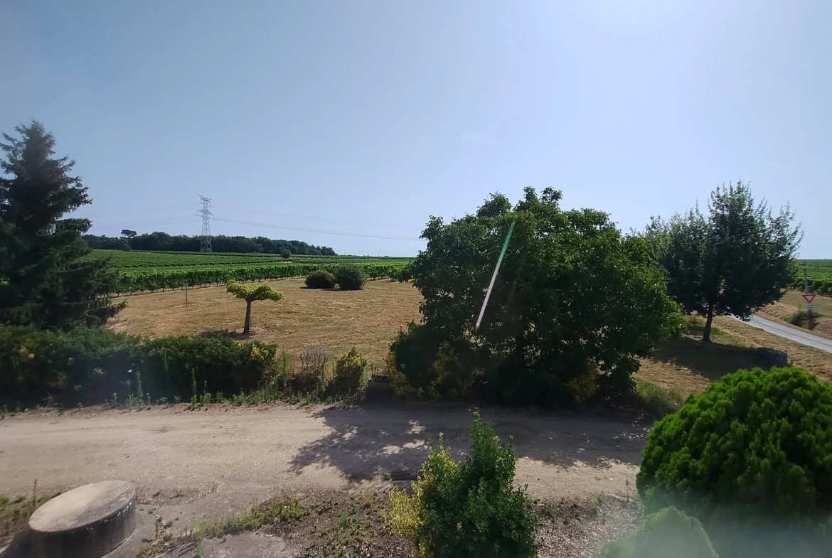 Ancienne Ferme Viticole à Caplong - Idéale pour projets touristiques 