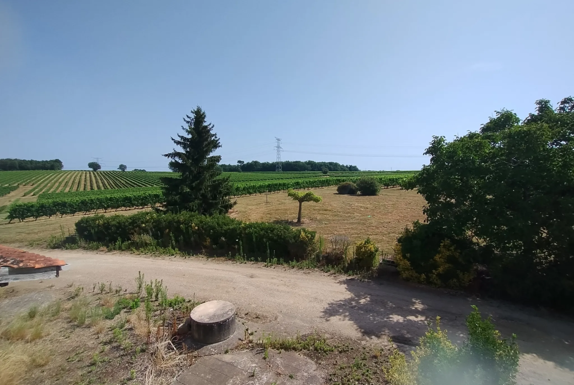 Ancienne Ferme Viticole à Caplong - Idéale pour projets touristiques 