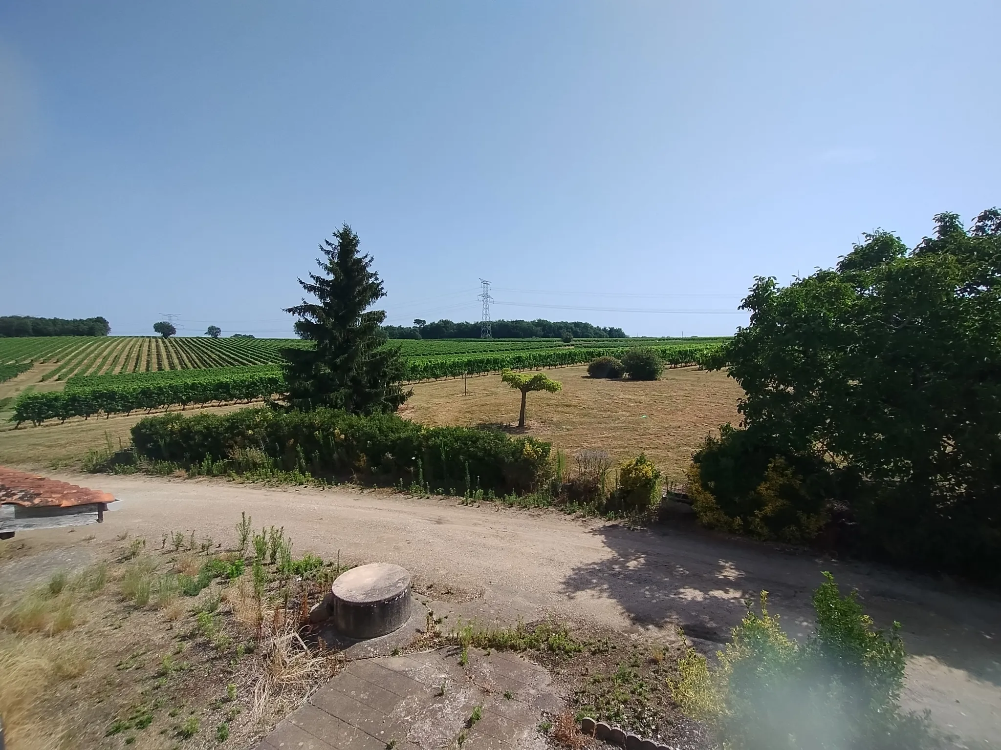 Ancienne Ferme Viticole à Caplong - Idéale pour projets touristiques 