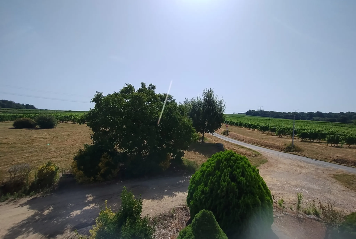 Ancienne Ferme Viticole à Caplong - Idéale pour projets touristiques 