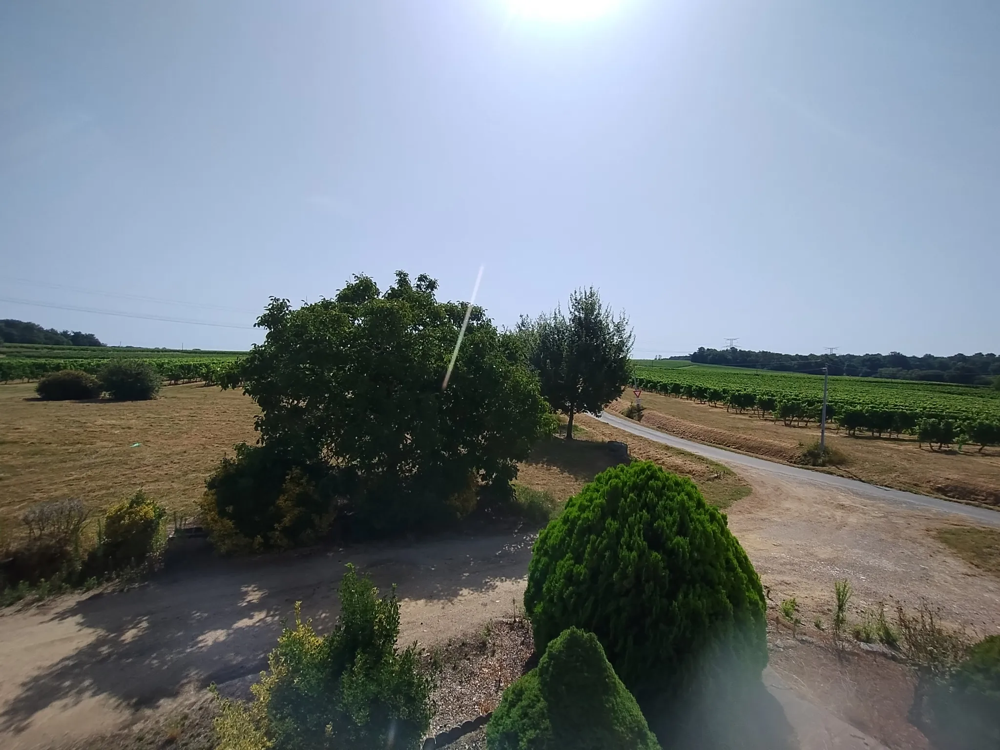 Ancienne Ferme Viticole avec Potentiel près de Bordeaux 