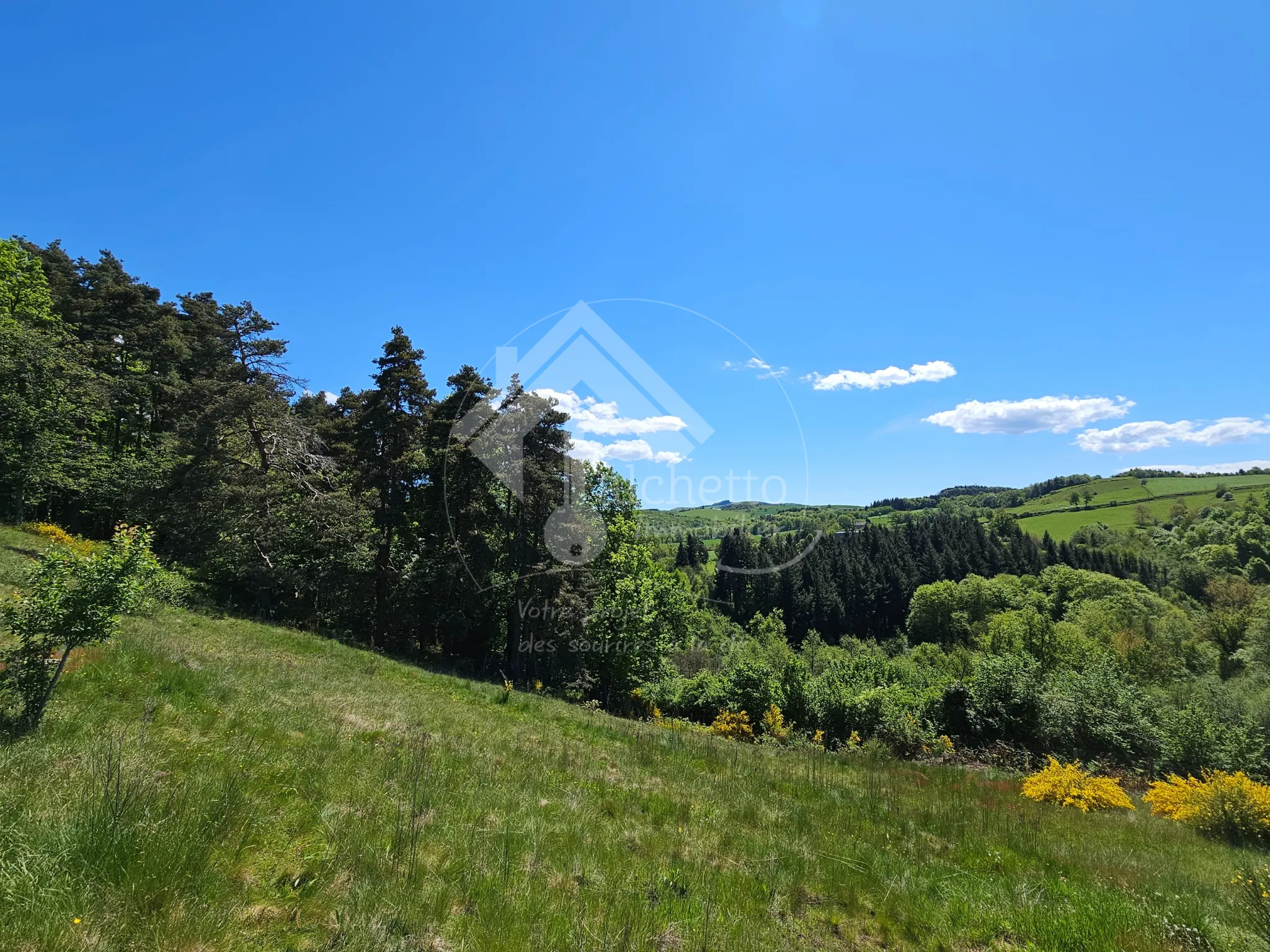 Maison Atypique 6 pièces à Le Mayet de Montagne avec 5100 m² de Terrain 