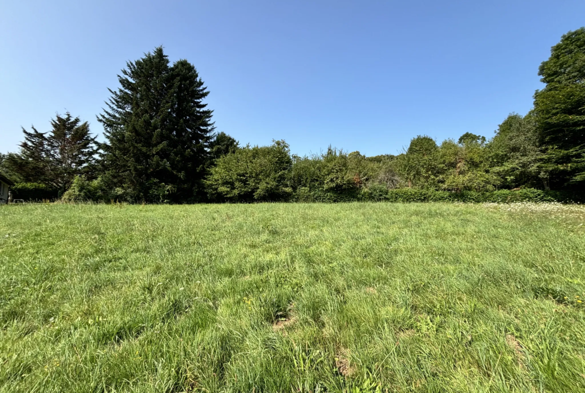 Terrain à construire à Saint Jal en Corrèze - 2497 m2 