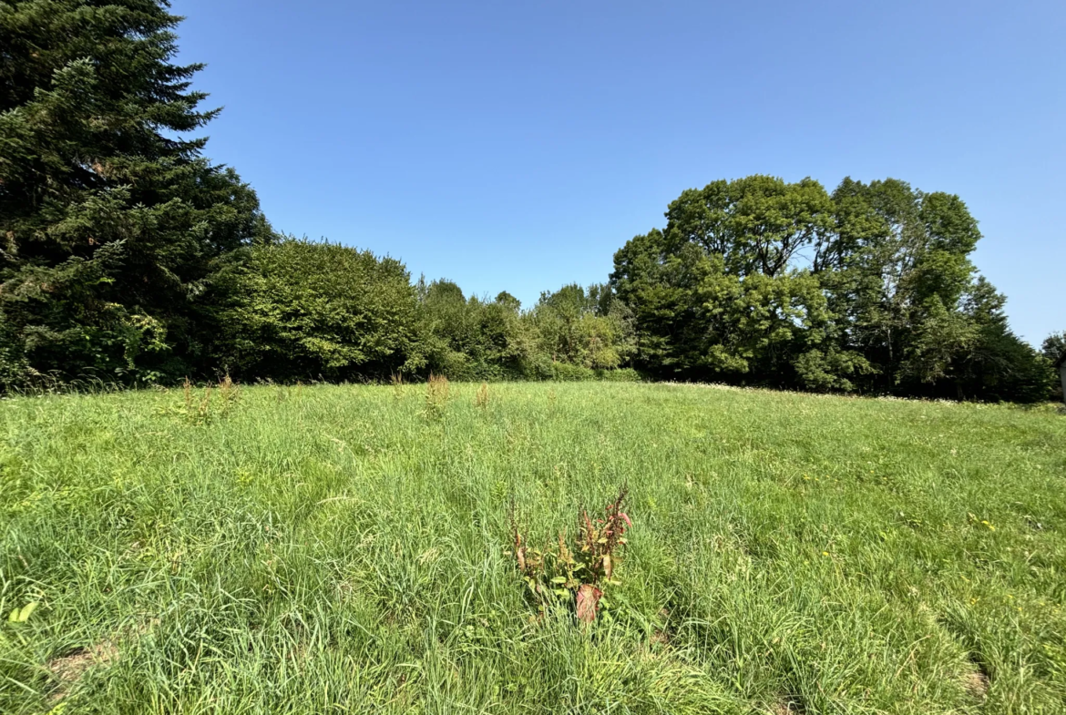 Terrain à construire à Saint Jal en Corrèze - 2497 m2 