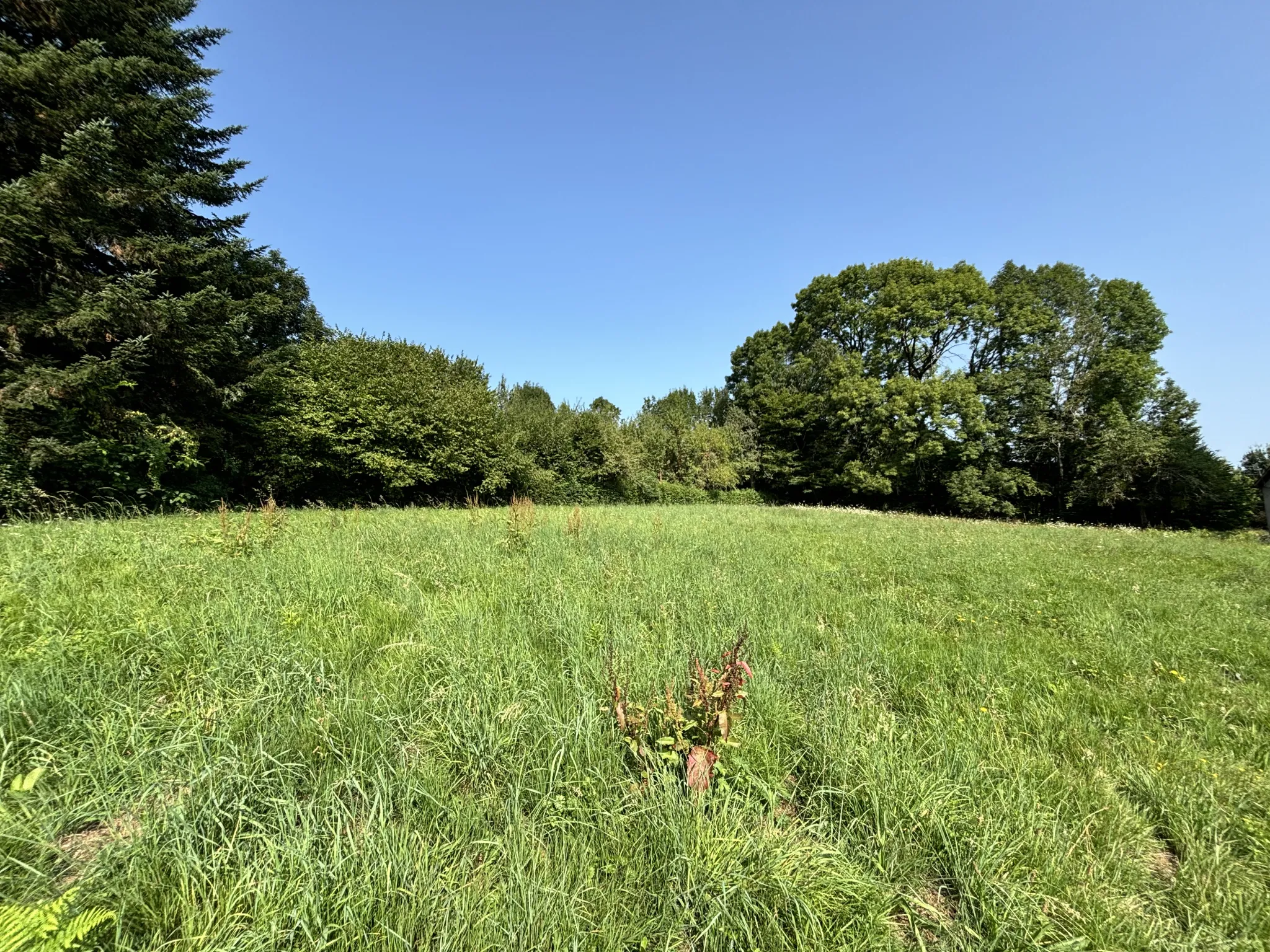 Terrain à construire à Saint Jal en Corrèze - 2497 m2 