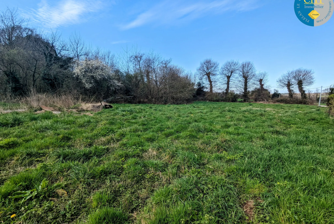 À vendre : Maison en pierres avec 3 chambres à Guer (56) 