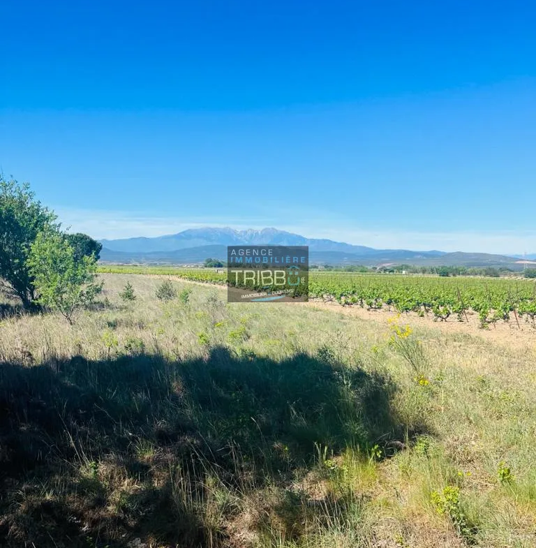 Terrain agricole de 5730 m² à vendre à Trouillas 