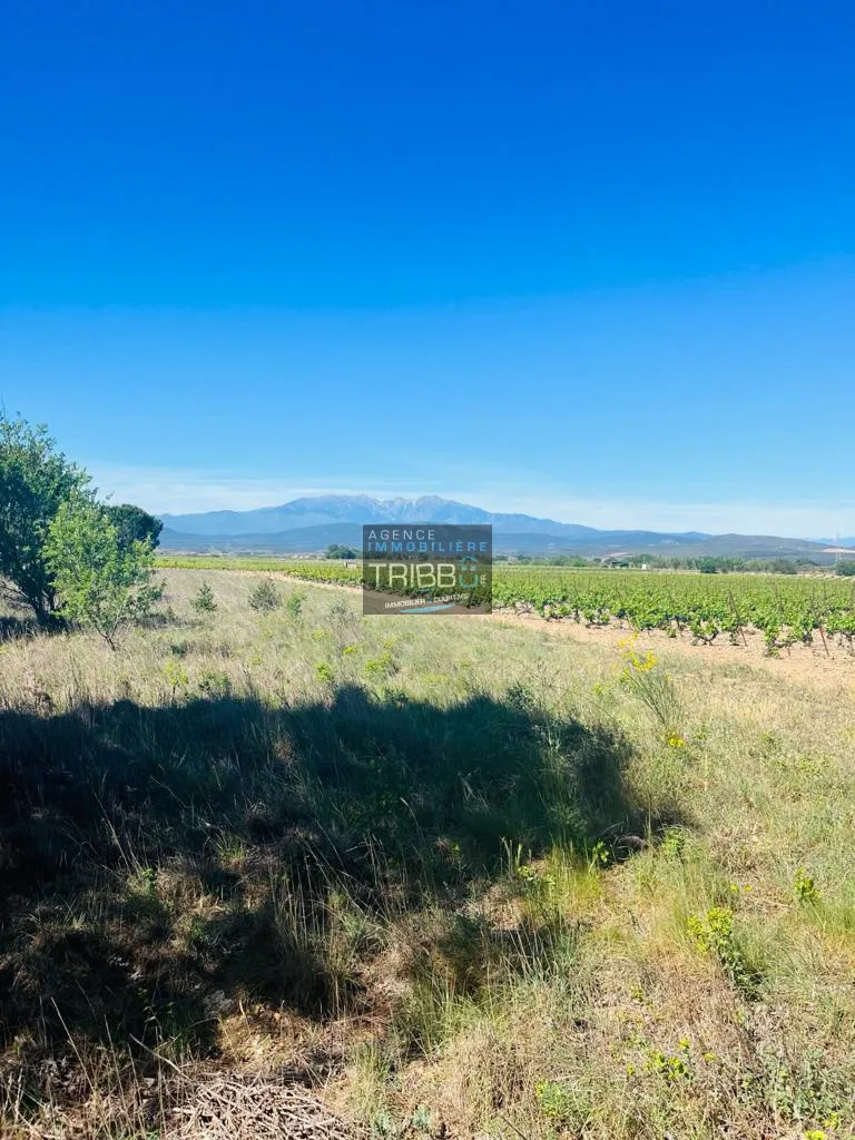 Terrain agricole de 5730 m² à vendre à Trouillas 