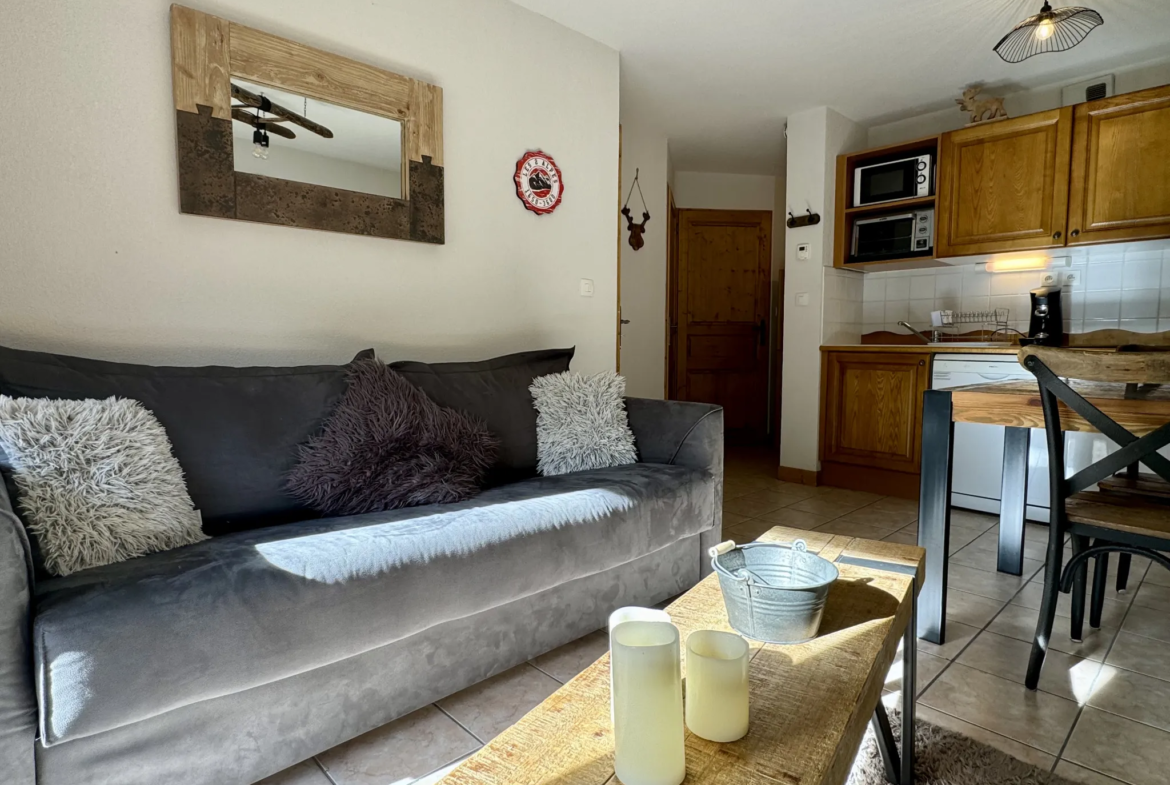 À vendre : Charmant appartement cosy aux 2 Alpes 