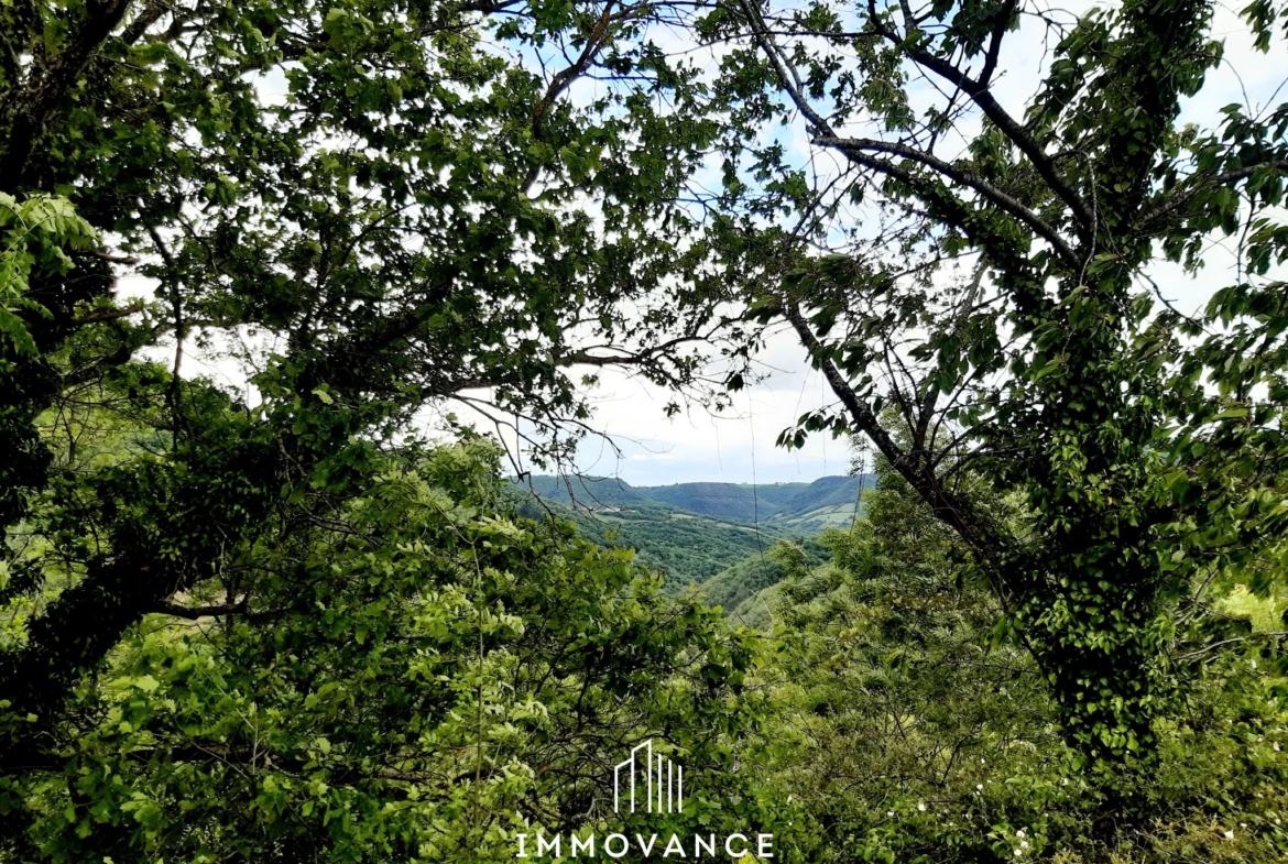 Maison de Vigne à Restaurer à Le Truel - Vue Panoramique 