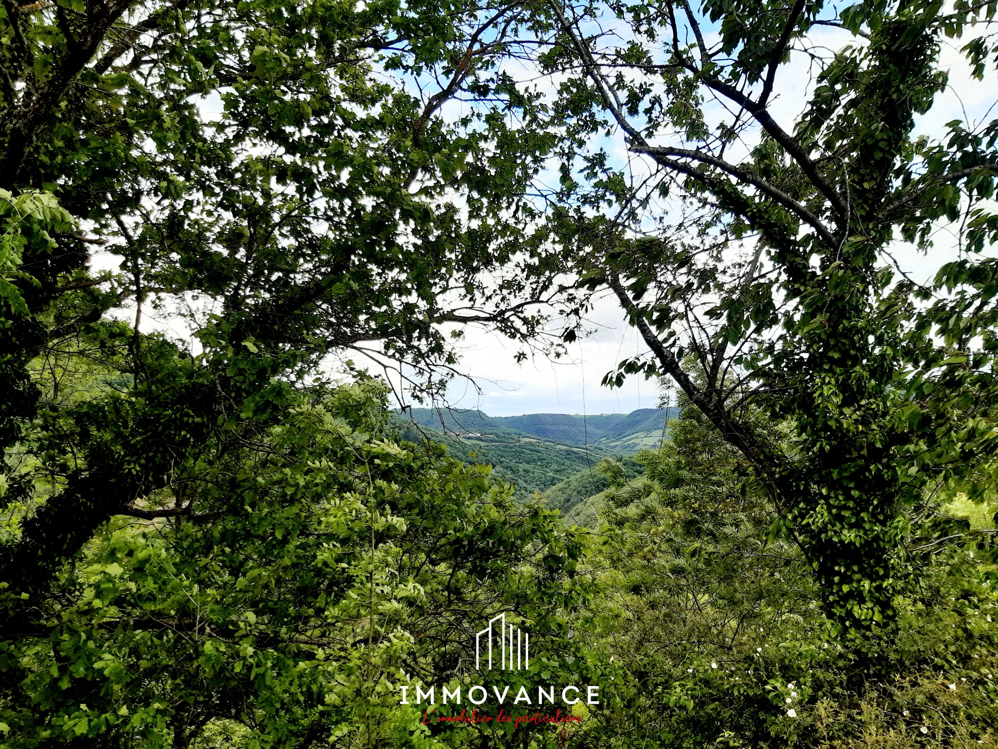 Maison de Vigne à Restaurer à Le Truel - Vue Panoramique 