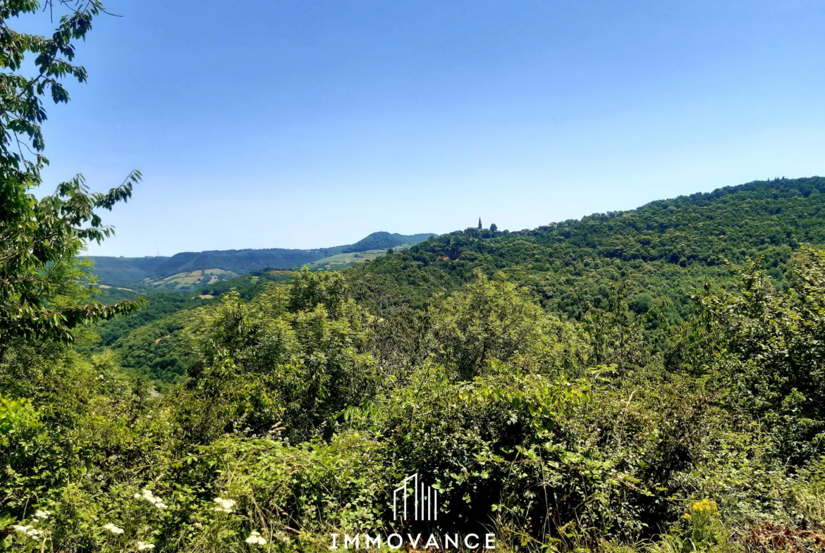 Maison de Vigne à Restaurer à Le Truel - Vue Panoramique 