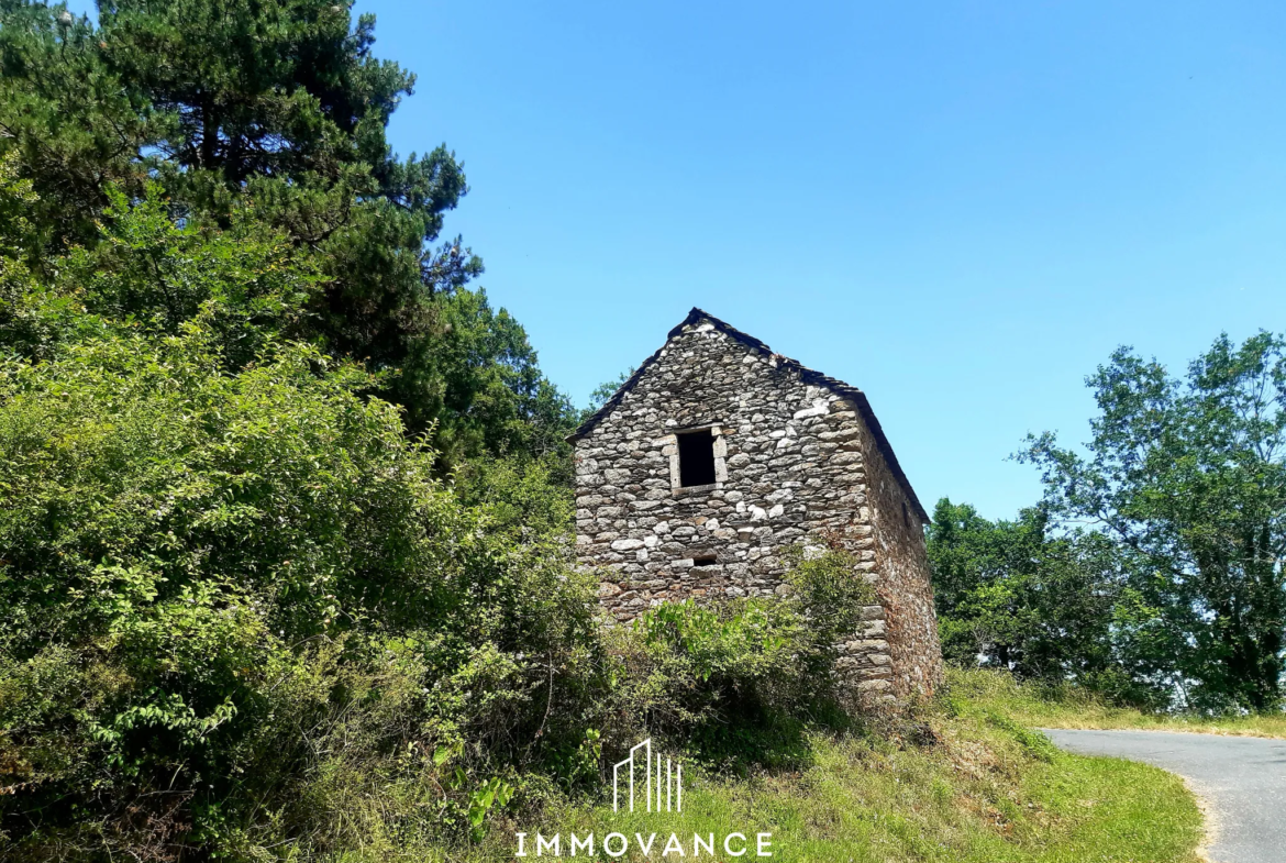 Maison de Vigne à Restaurer à Le Truel - Vue Panoramique 