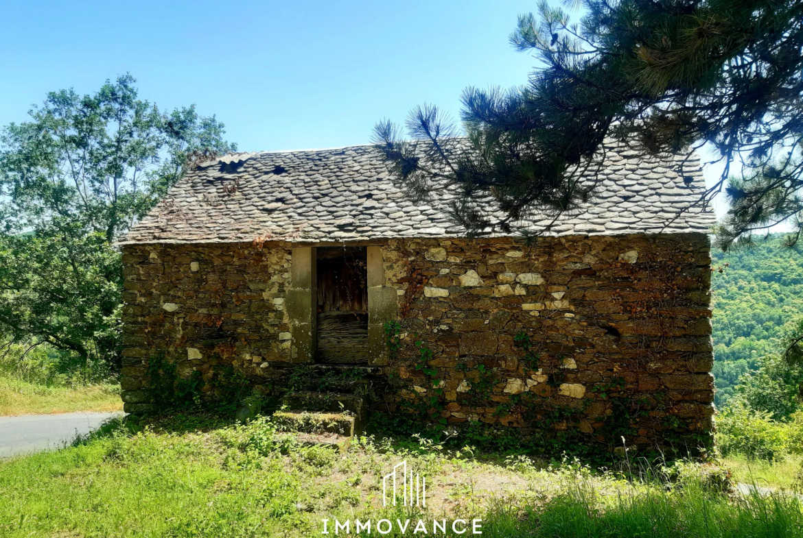 Maison de Vigne à Restaurer à Le Truel - Vue Panoramique 