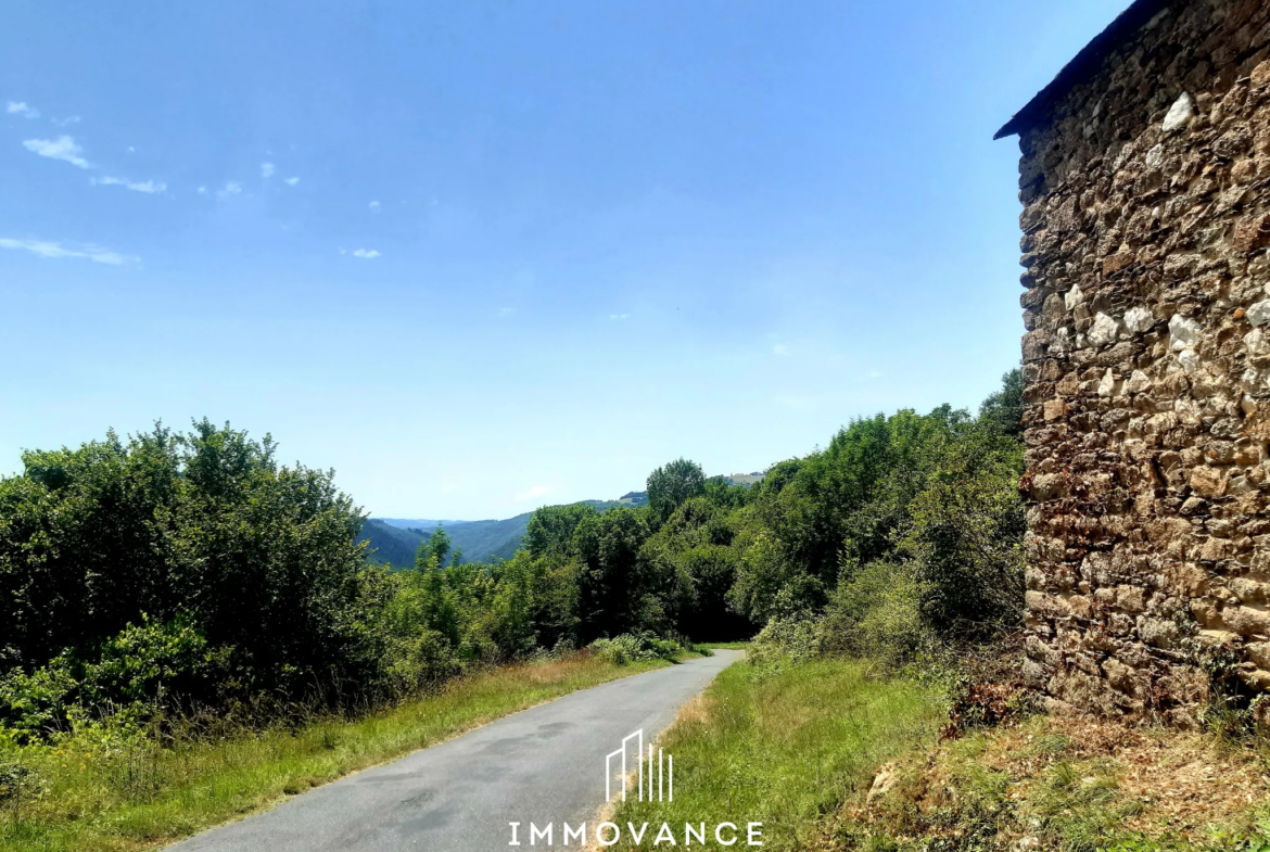 Maison de Vigne à Restaurer à Le Truel - Vue Panoramique 