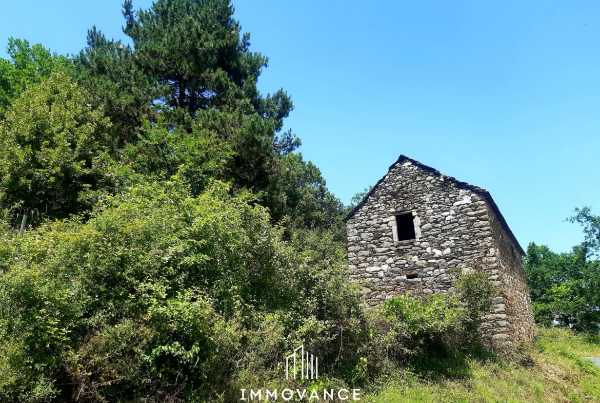 Maison de Vigne à Restaurer à Le Truel - Vue Panoramique 