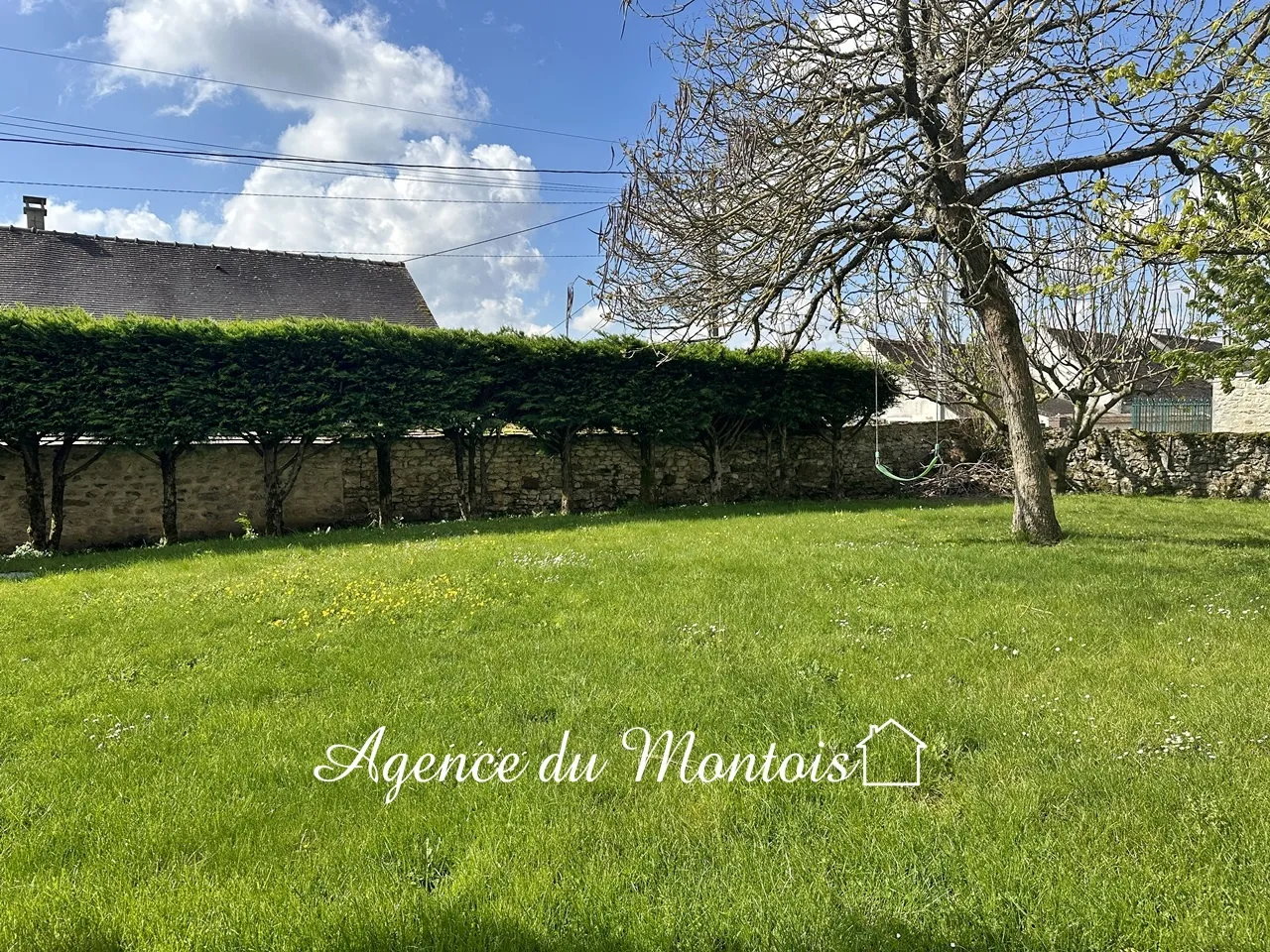 À vendre : Belle maison briarde à Donnemarie-Dontilly 