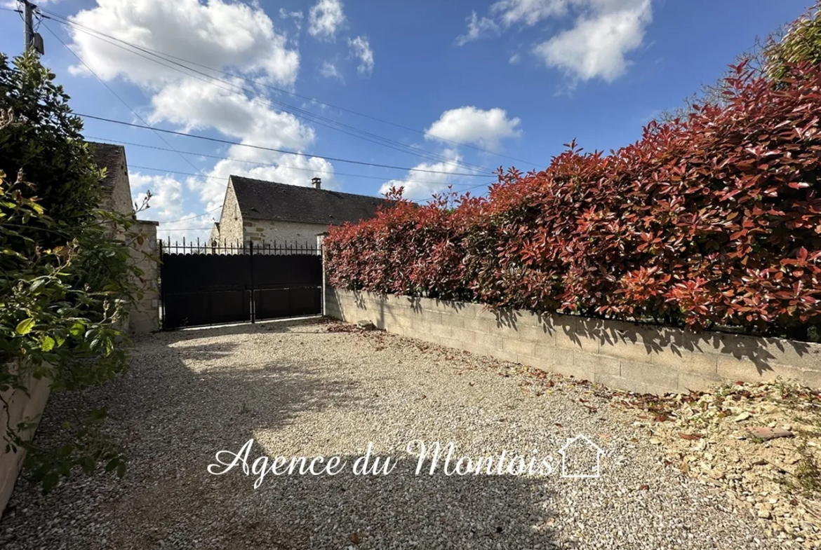 À vendre : Belle maison briarde à Donnemarie-Dontilly 