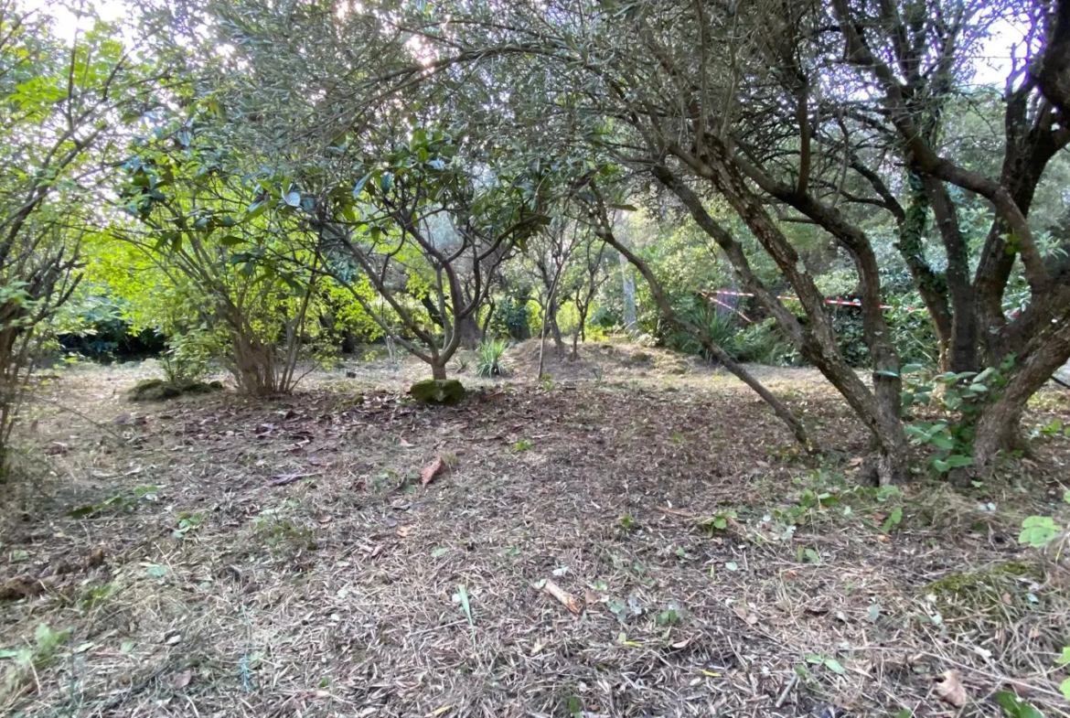 Terrain à bâtir avec piscine à Villevieille 