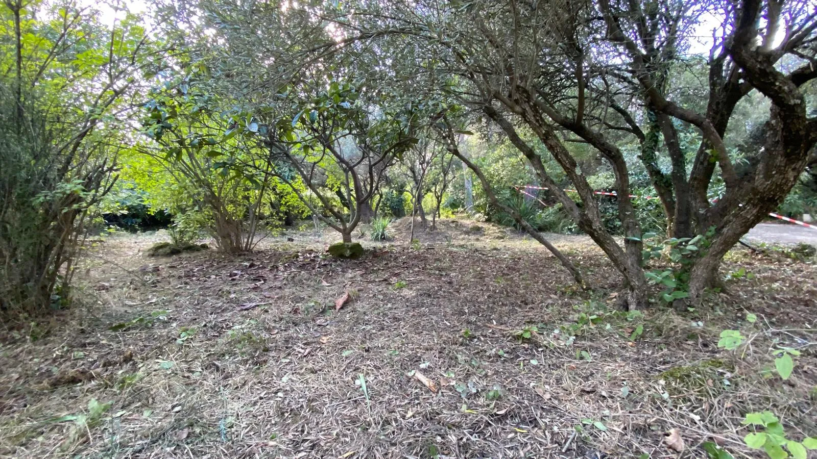 Terrain à bâtir avec piscine à Villevieille 