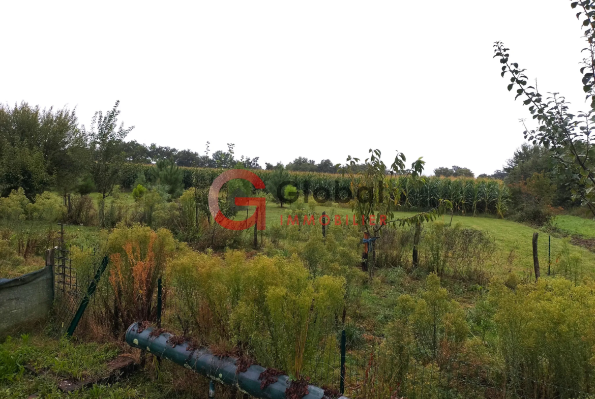 Propriété agricole avec terres et bois à Lacajunte 