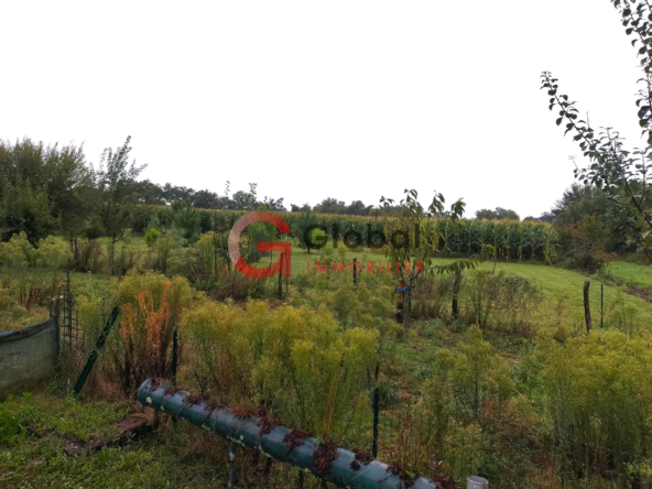 Propriété agricole avec terres et bois à Lacajunte