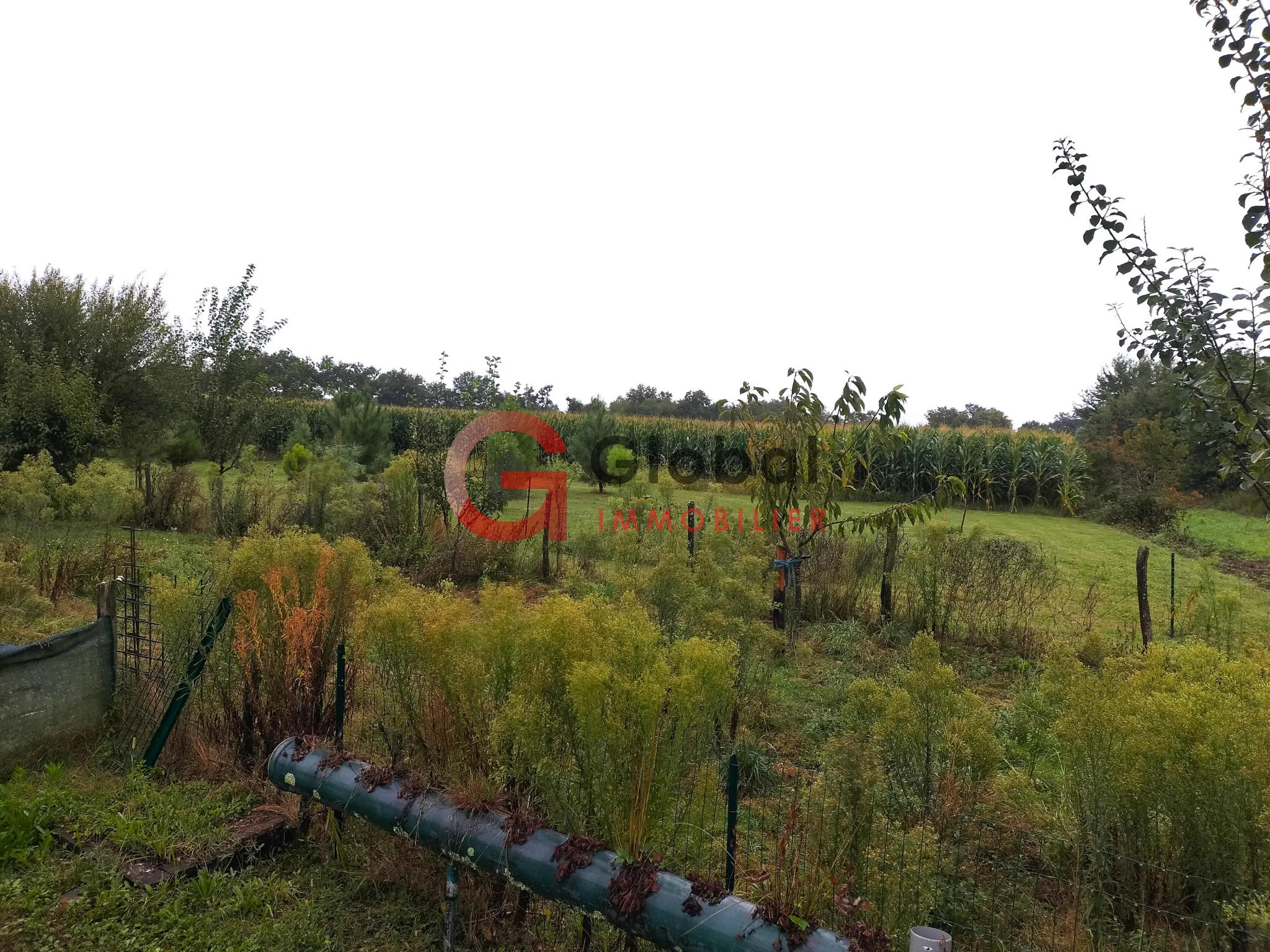 Propriété agricole avec terres et bois à Lacajunte 