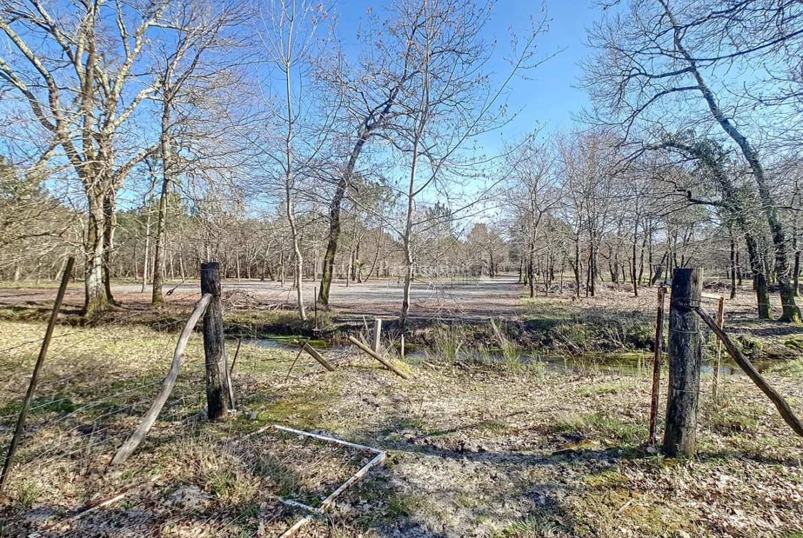 Terrain boisé en zone NL à Gujan mestras 