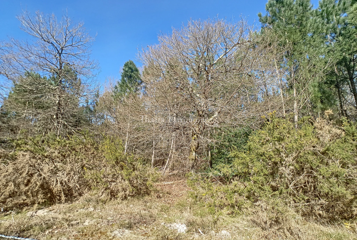 Terrain boisé en zone NL à Gujan mestras 